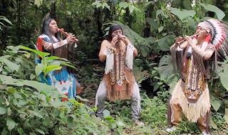 最后的莫西干人 最后的莫西干人